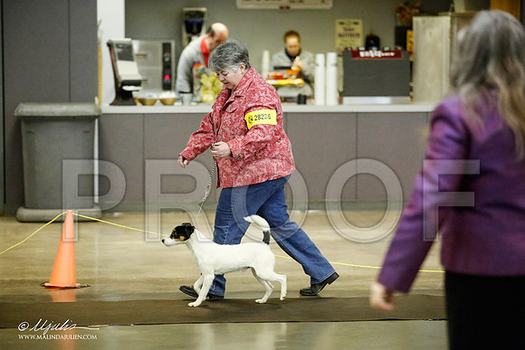 _JJ_5976-BeltonJan2015IABCA-HR3