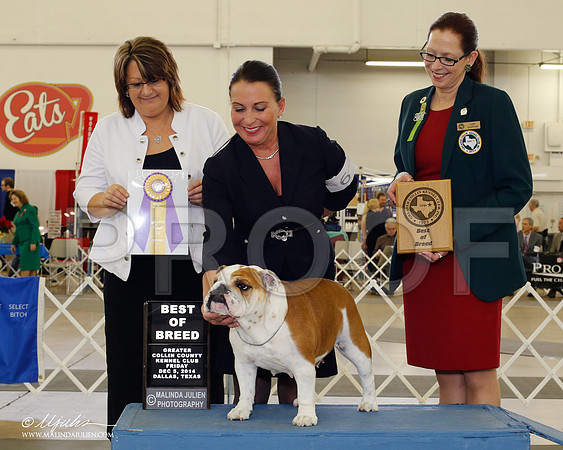 CL51892DallasDec2014HR3