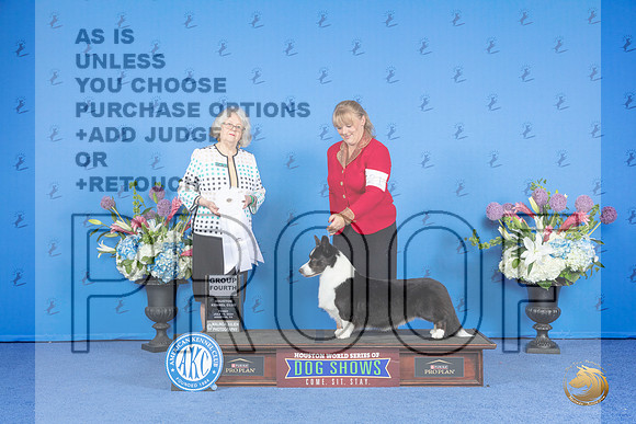 Cardigan Welsh Corgi #21 FRI G4 Judge Annella Cooper__JP_9595_Houston_2024_HR3