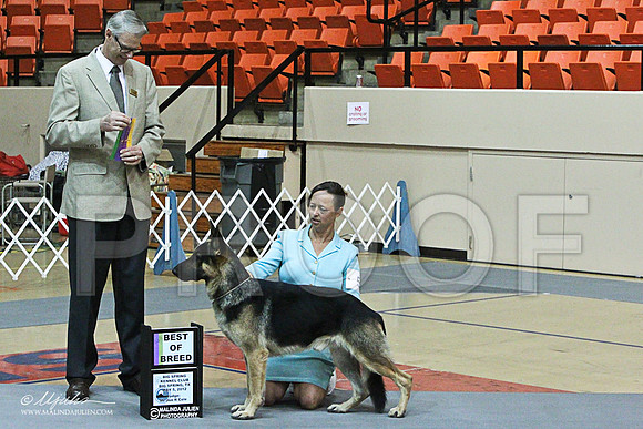 win photo-5785LR