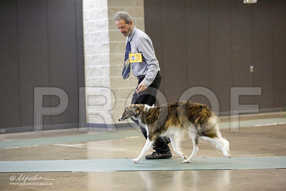_JN_4587-BeltonJan2015-HR3