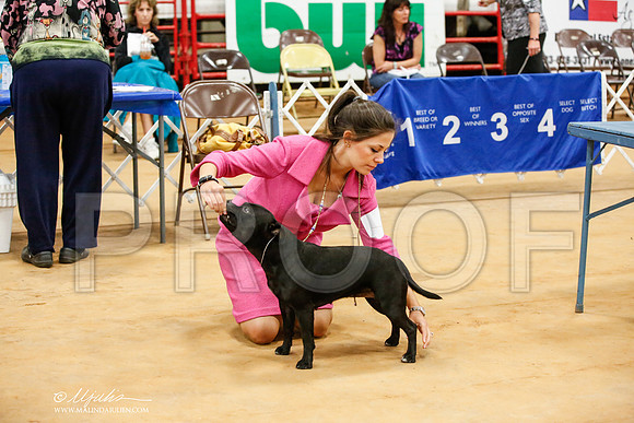 _JJ_8261-TxArJun2014-HR3