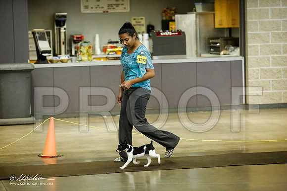_JJ_5949-BeltonJan2015IABCA-HR3
