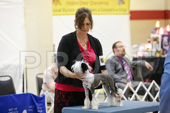 _JJ_0782-AmarilloSept2014-HR3