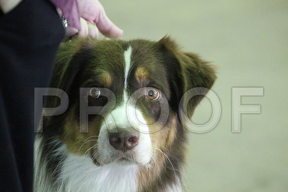 MJS_0342