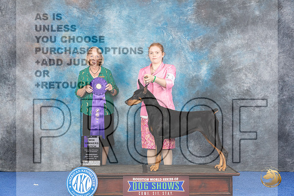 Doberman #12 WED WBM Judge Alisa Brotherhood__JP_6672_Houston_2024_HR3