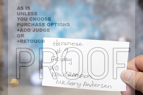 Havanese #9 Fri WDCH Judge Gary Andersen__JP_5325_Amarillo_2024_HR3