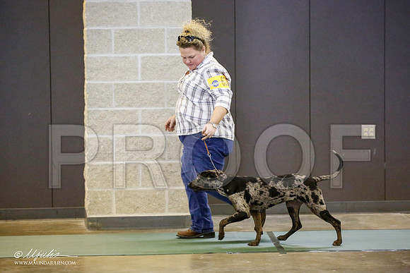 _JN_2643-BeltonJan2015-HR3