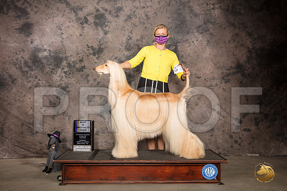 Afghan Hound #24 Fri BISS Judge Rev Rick Martin_SR_7058_Belton2020_HR3