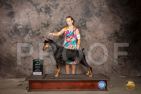 Doberman Pinscher #40 Fri AOM Judge Sydney Goode_SR_7183_Belton2020_HR3