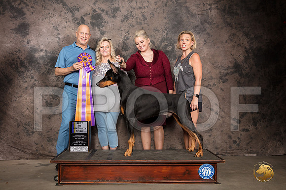 Doberman Pinscher #43 Fri BISS Judge Sydney Goode-2_SR_7189_Belton2020_HR3