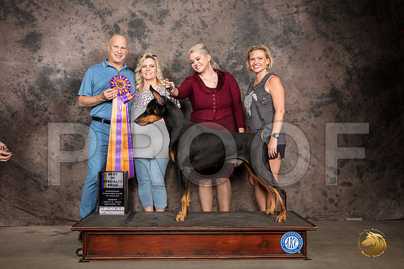 Doberman Pinscher #43 Fri BISS Judge Sydney Goode-2_SR_7193_Belton2020_HR3