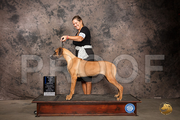 Rhodesian Ridgeback #? Fri WB BOW Judge Pamela Lambie_SR_7251_Belton2020_HR3