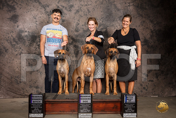 Rhodesian Ridgeback #? WBBOW RWB RWD Judge Pamela Lambie_SR_7262_Belton2020_HR3