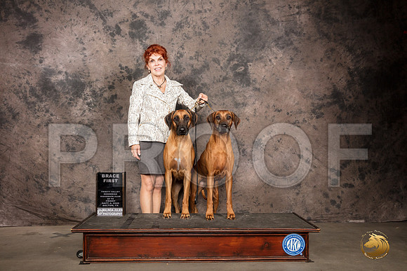 Rhodesian Ridgeback #14 #98 Fri Brace1st Judge Pamela Lambie_SR_7233_Belton2020_HR3