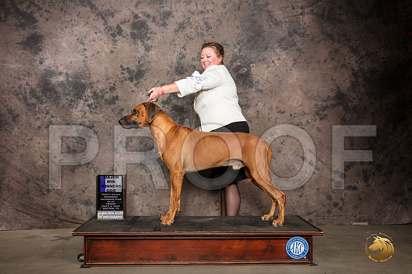 Rhodesian Ridgeback #65 Fri WD Maj Judge Pamela Lambie_SR_7212_Belton2020_HR3