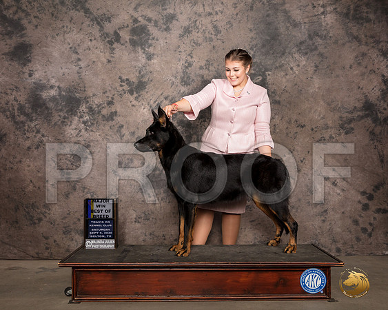 Beauceron #10 Sat BOB Judge Marilyn Van Vleit_SR_7474_Belton2020_HR3