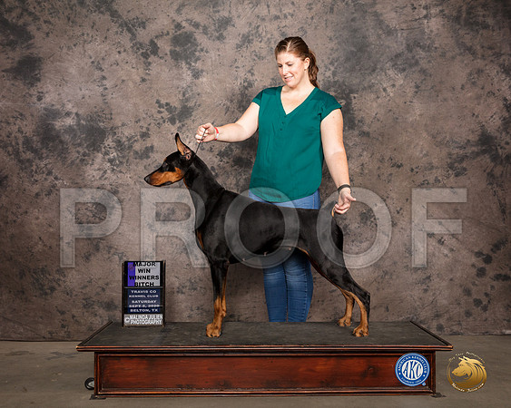 Doberman PInscher #60 Sat WB Judge Darryl Vice_SR_7505_Belton2020_HR3