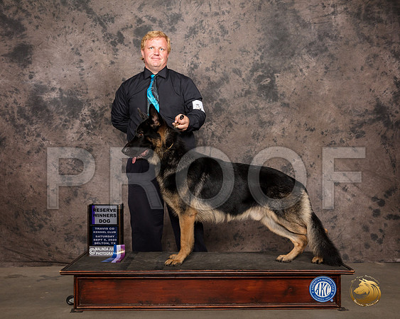 German Shepherd Dog #11 Sat RWD Judge Marilyn Van Vleit_SR_7466_Belton2020_HR3