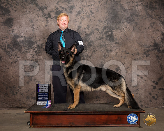 German Shepherd Dog #11 Sat RWD Judge Marilyn Van Vleit_SR_7468_Belton2020_HR3