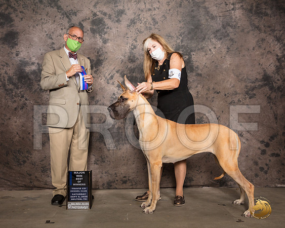 Great Dane #6 Sat BOW Judge Luis Sosa_SR_7544_Belton2020_HR3