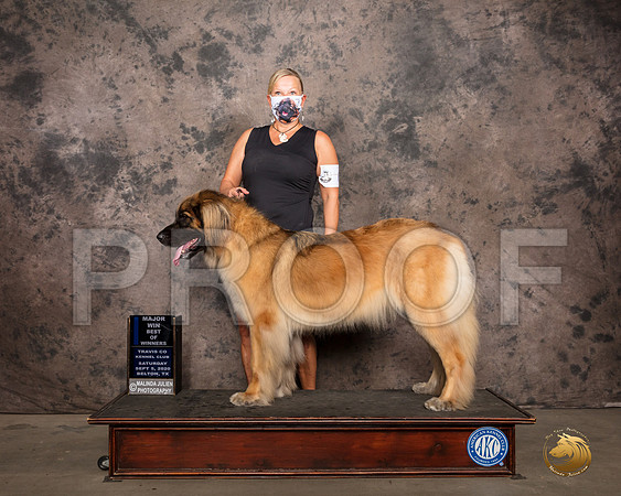 Leonberger #6 Sat BOW Judge Darryl Vice_SR_7584_Belton2020_HR3