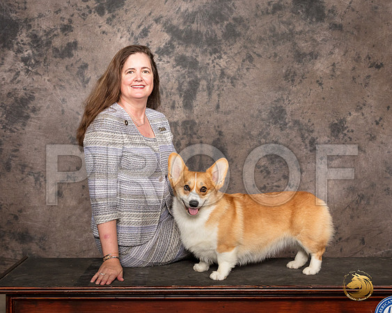 Pembroke Welsh Corgi #6 Sat Jennifer_SR_7432_Belton2020_HR3