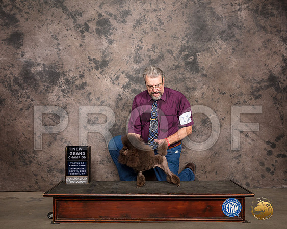 Poodle Toy #11 Sat SD Judge Col Joe Purkhiser_SR_7478_Belton2020_HR3