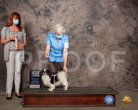 Tibetan Spaniel #12 Sat BOB Judge Linda Hurlebaus_SR_7526_Belton2020_HR3