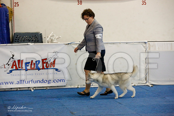 _M3_8661-AddisonHuskyMar2015-HR3