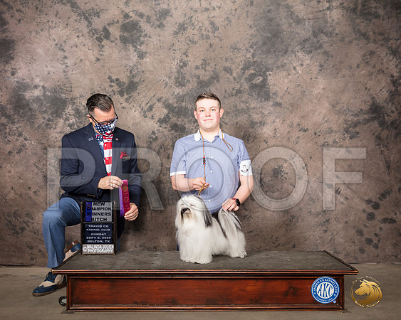 Havanese #16 Sun WB Judge Darryl Vice_SR_8326_Belton2020_HR3