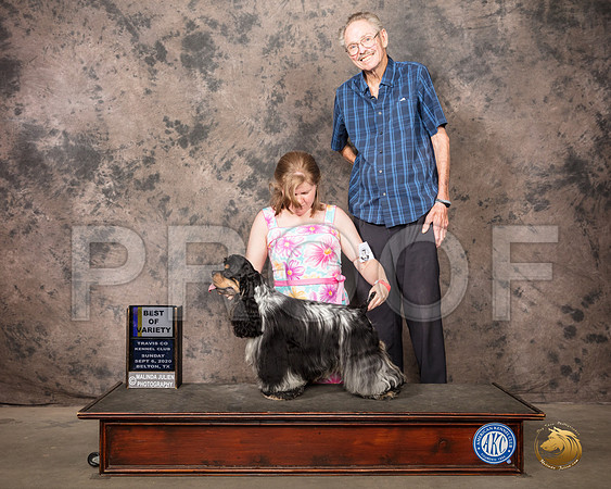 Cocker Spaniel #11 Sun BOV Judge Col Joe Purkhiser_SR_8550_Belton2020_HR3