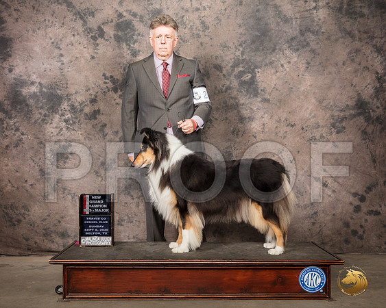 Collie Rough #24 Sun BOB Judge Murrel Purkhiser_SR_8496_Belton2020_HR3