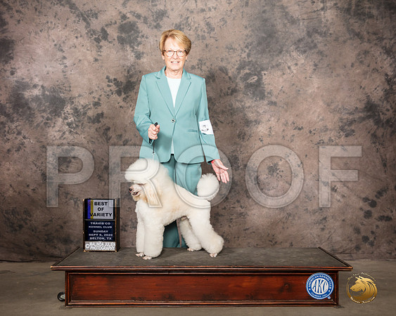 Poodle Miniature #7 Sun BOV Judge Col Joe Purkhiser_SR_8536_Belton2020_HR3