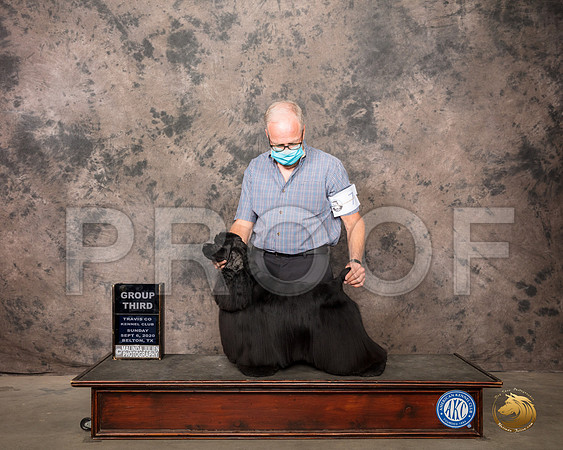 Cocker Spaniel Black #9 Sun G3 Judge Col Joe Purkhiser_SR_8716_Belton2020_HR3
