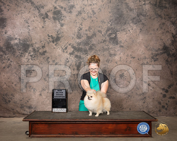 Pomeranian #12 Pearl_SR_8687_Belton2020_HR3