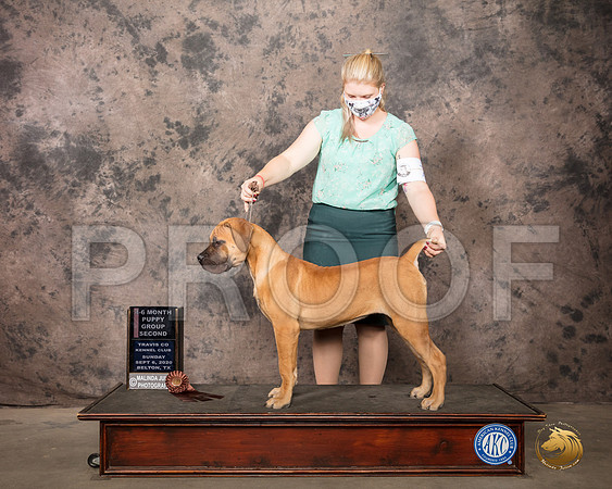 Boerbel #6 Sun PuppyG2 Judge Barbara Palmer_SR_8779_Belton2020_HR3