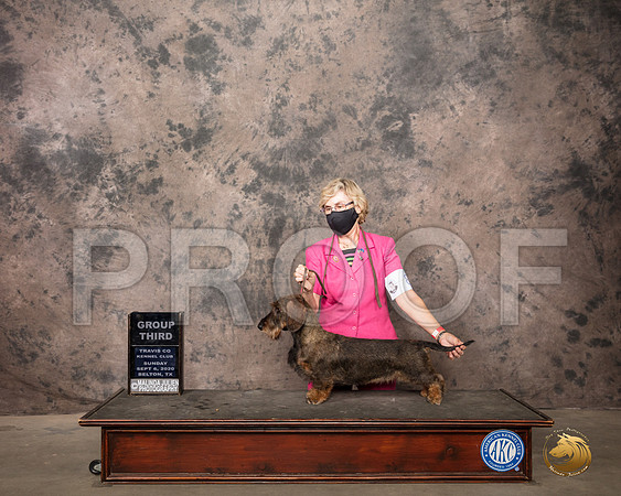 Dachshund Wire #8 Sun G3 Judge Robert Robinson_SR_8865_Belton2020_HR3