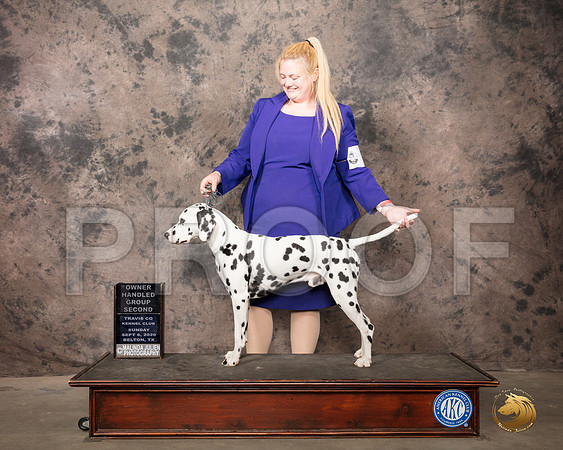 Dalmatian #7 Sun OHG2 Judge Linda Hurlebaus_SR_8919_Belton2020_HR3