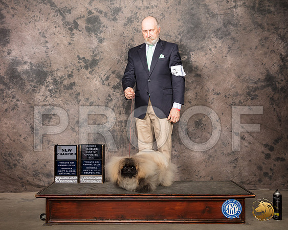 Pekingese #6 Sun BOS Judge Darryl Vice_SR_8898_Belton2020_HR3