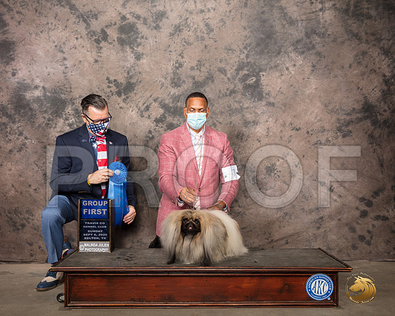 Pekingese #7 Sun G1 Judge Darryl Vice_SR_8837_Belton2020_HR3