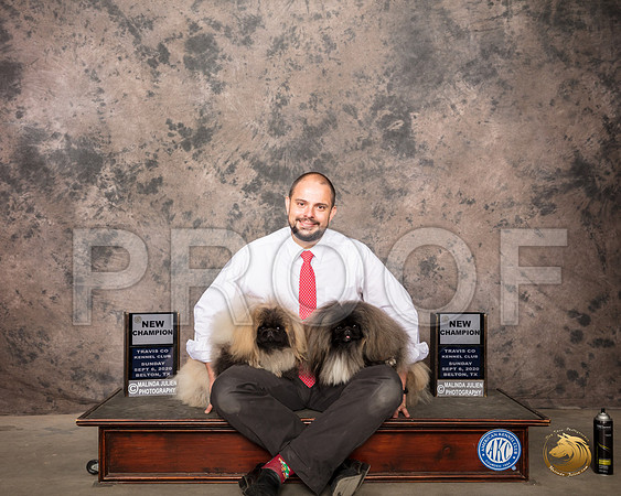 Pekingese Edgar_SR_8917_Belton2020_HR3