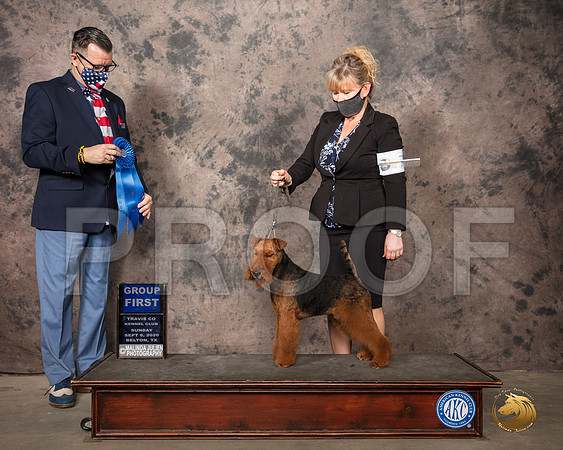 Welsh Terrier #7 Sun G1 Judge Darryl Vice_SR_8739_Belton2020_HR3