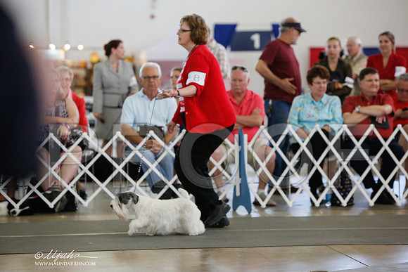 _JJ_2090-DallasJul2014-HR3