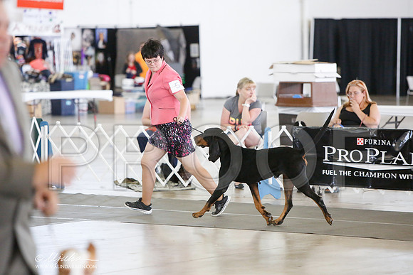 _JJ_1534-DallasJul2014-HR3