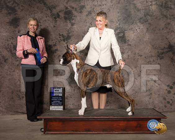 Boxer #17 Mon WD Maj Judge Patricia Sosa_SR_9047_Belton2020_HR3