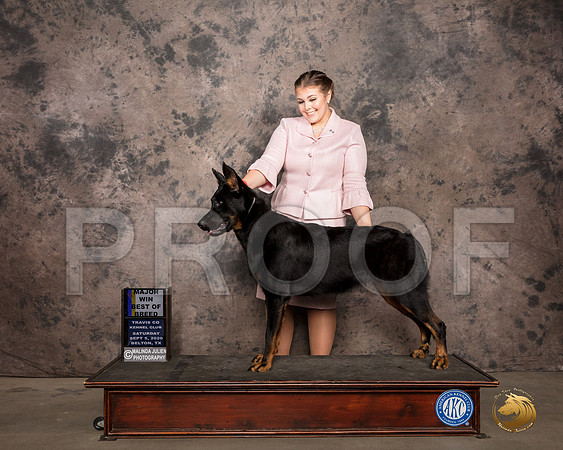 Beauceron #10 Sat BOB Judge Marilyn Van Vleit_SR_7472_Belton2020_HR3