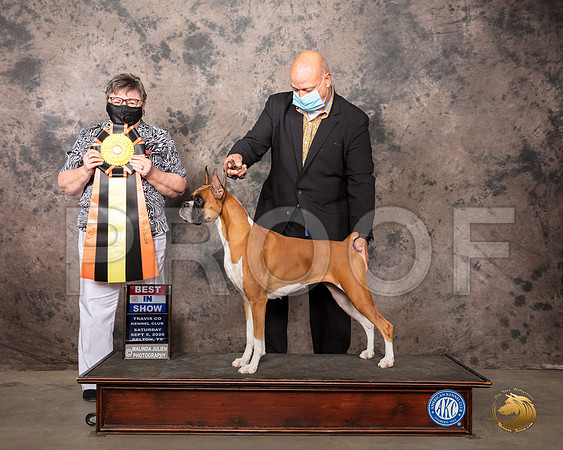 Boxer #6 Sat BIS Judge Peggy Lloyd_SR_8038_Belton2020_HR3