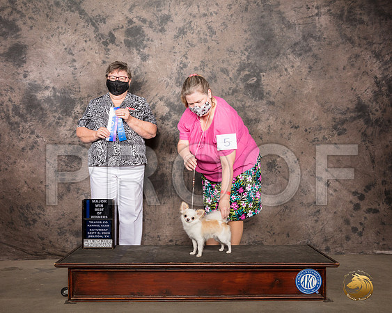 Brussels Griffon #6 Sat BOS Judge Peggy Lloyd_SR_7750_Belton2020_HR3