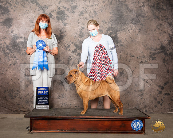Chinese Shar Pei #6 Sat G1 Judge Linda Harlebaus_SR_7991_Belton2020_HR3
